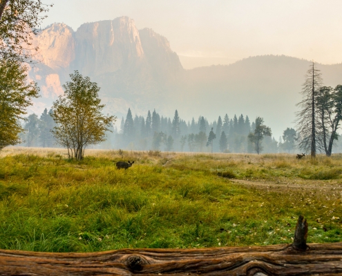 Yosemite Valley View in Morning