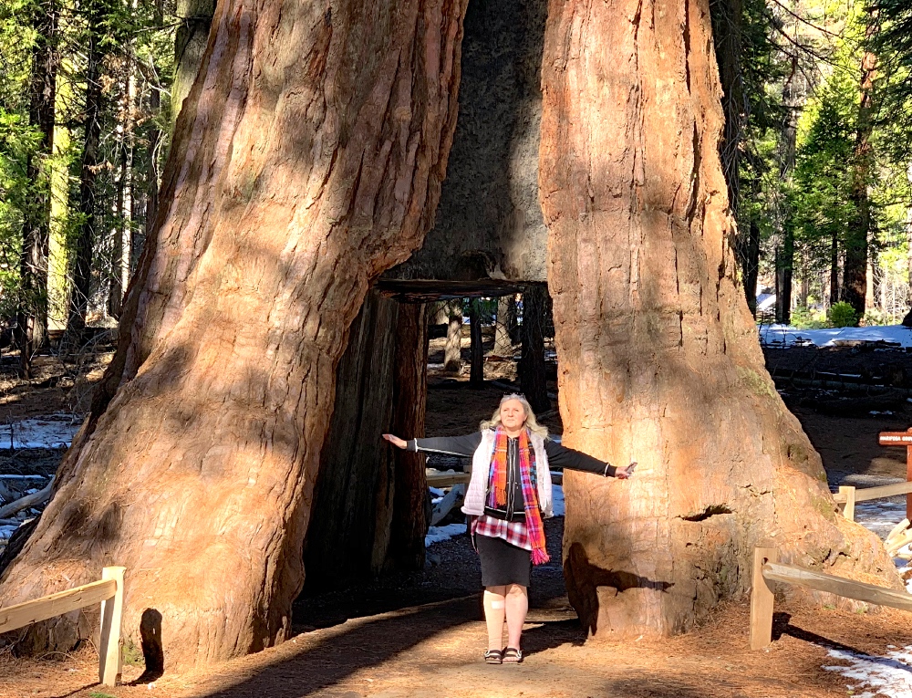 Tunnel Tree in Yosemite Luxury Blogger
