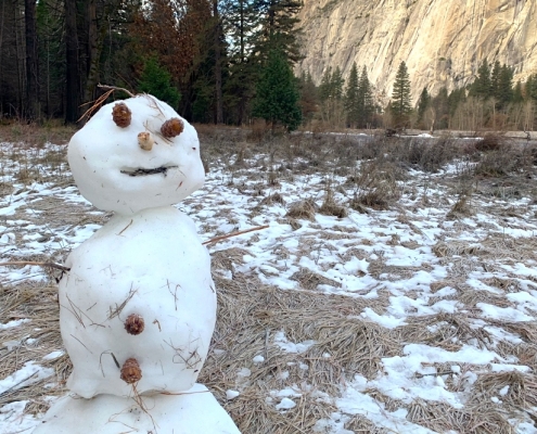 Yosemite Luxury Winter Tour Snowman