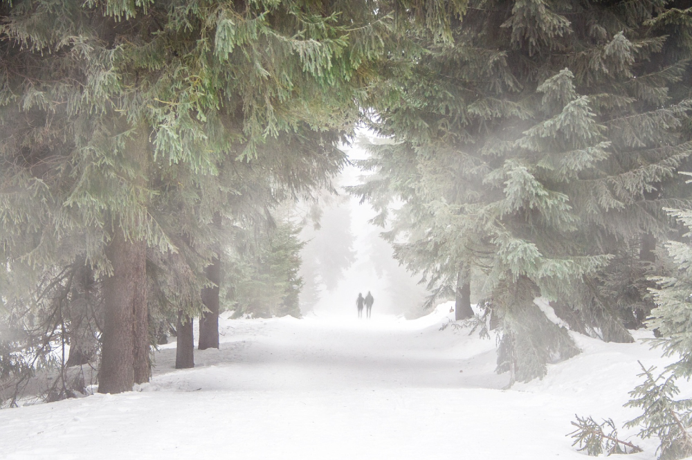 Valentines Day in Yosemite