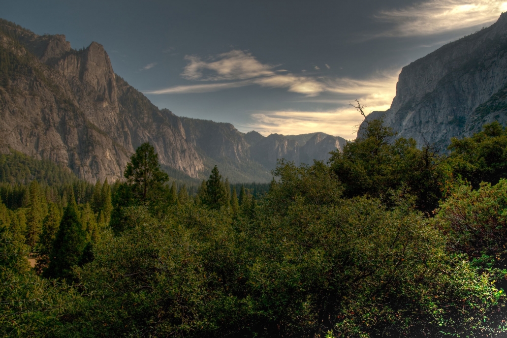 Luxury Yosemite Tour White Wolf Landscape