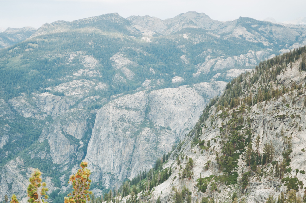 Yosemite Landscape on a Private Tour