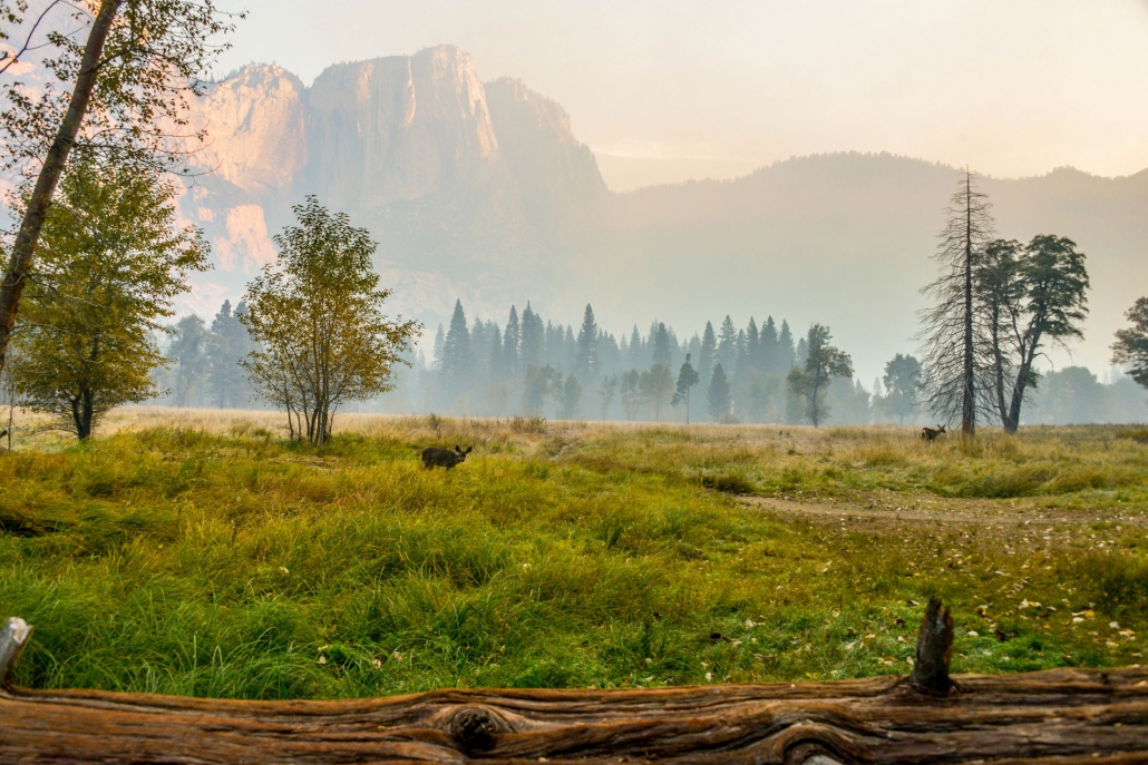 Hike in Yosemite without crowds