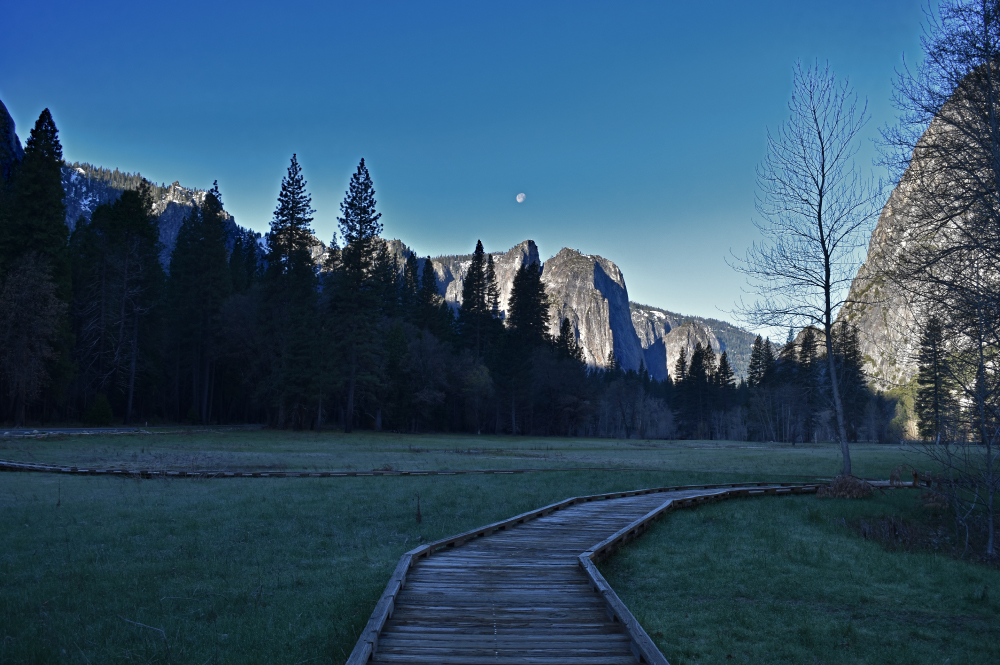 Private Yosemite Tour with Expert Guide
