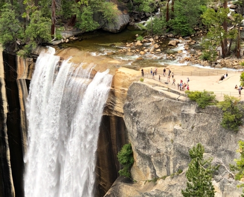 Yosemite For Senior Citizens