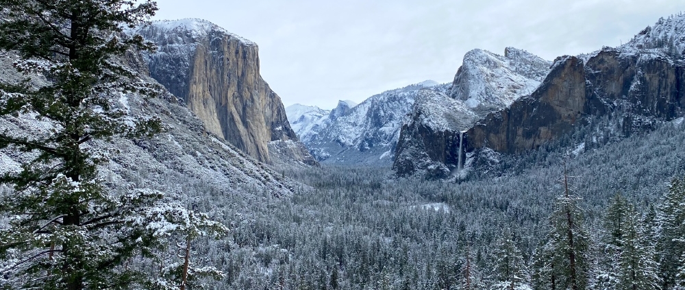 Premium Yosemite Tour in Winter