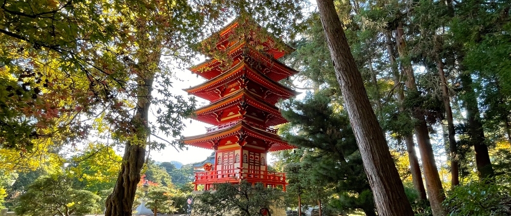 Japanese Tea Garden San Francisco