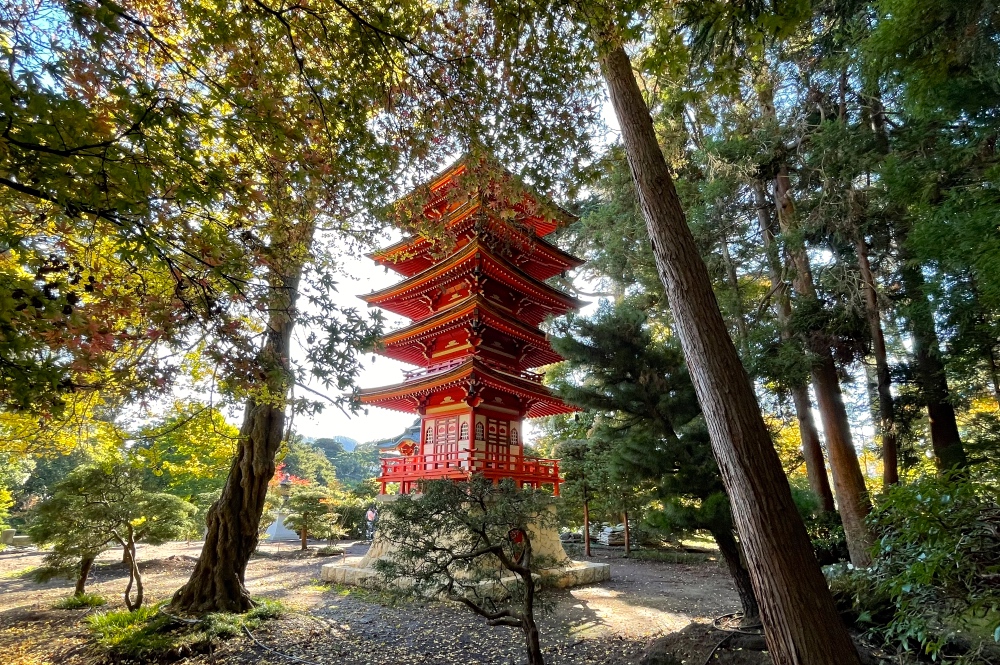Japanese Tea Garden San Francisco